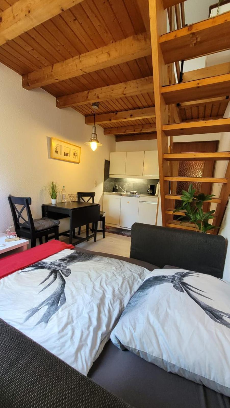 Berg-Buedchen - Schnuckelige Maisonette-Fewo - Gemuetlich Und Guenstig Sankt Andreasberg Dış mekan fotoğraf